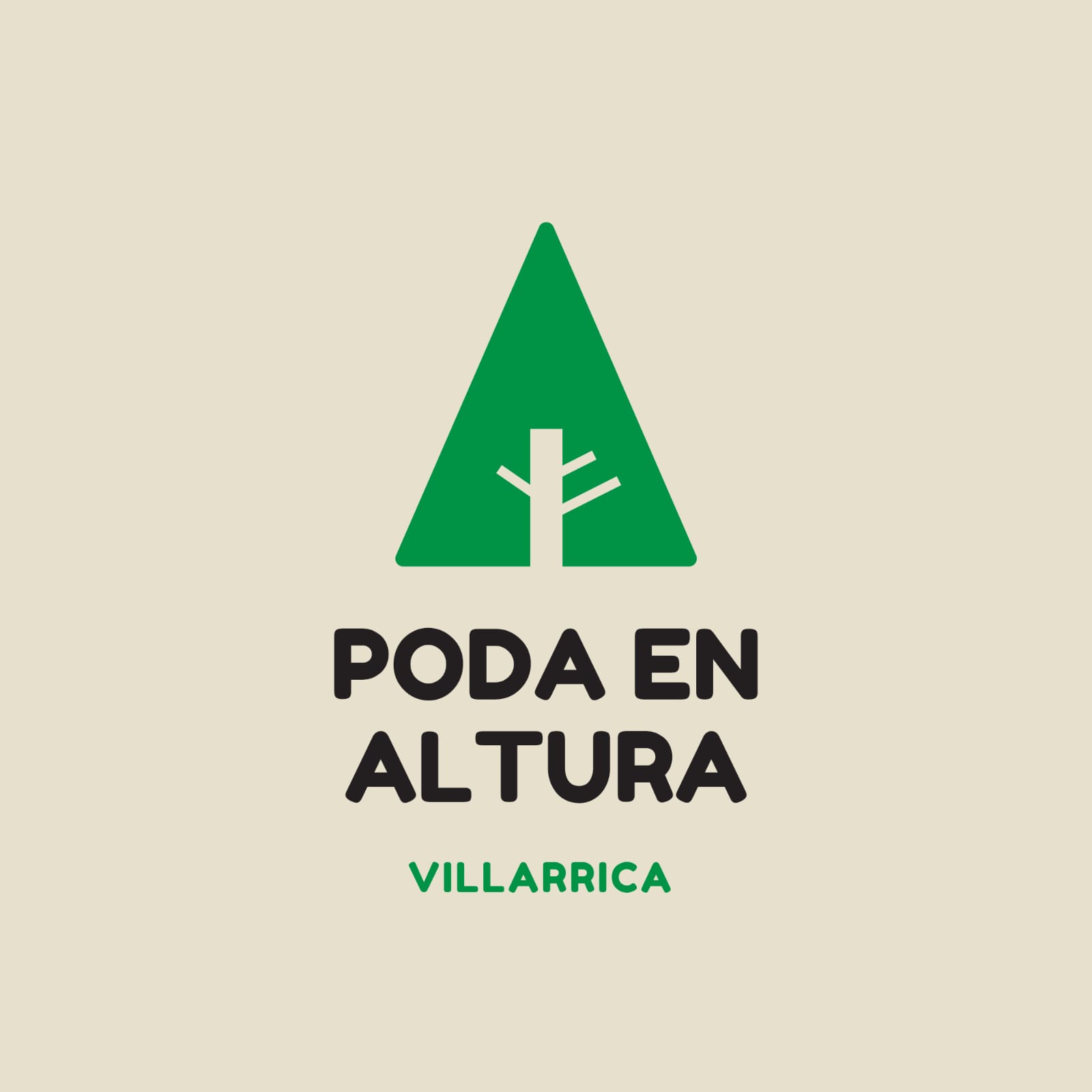 Poda en Altura Villarrica
