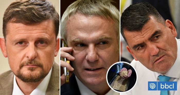 Tomás Kast junto a otros diputados que piden medidas por la escasez de pellet
